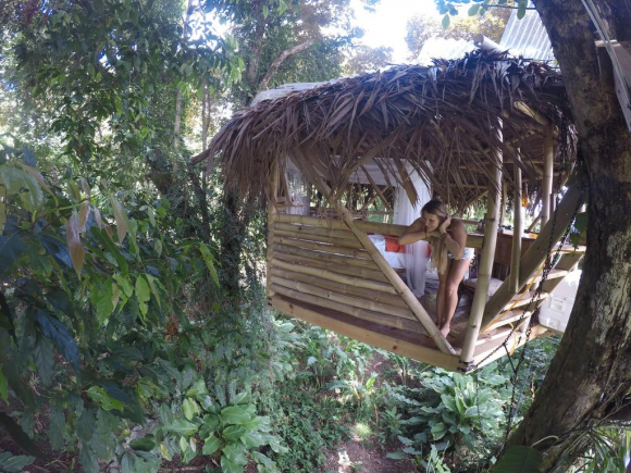 Fotografía de la casa árbol de Panamá.