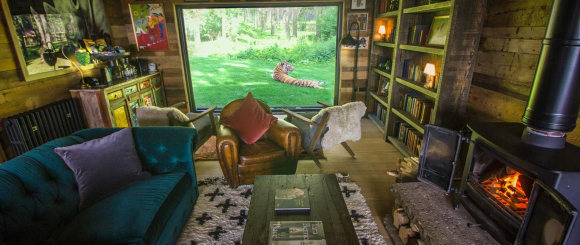 Fotografía de 'Tiger Lodge', la suite para dormir con tigres.