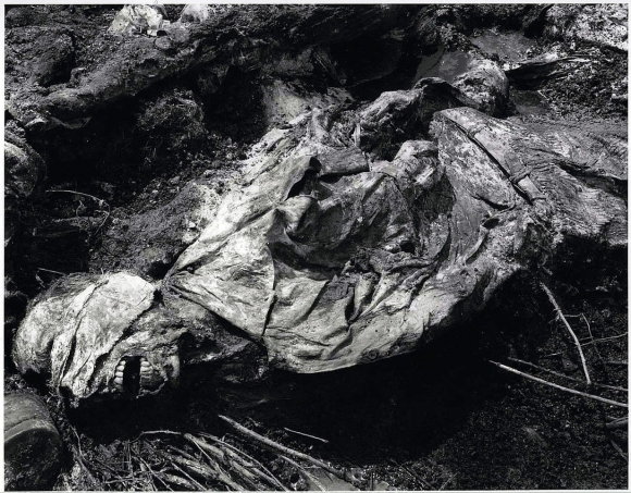 Una de las víctimas de la masacre de Srebrenica, en una foto de archivo del TPI (EFE)