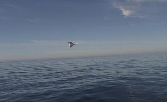 Drone marino