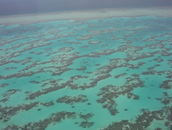 Fotografía de parte de la Gran Barrera de Coral de Australia.