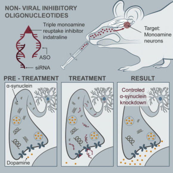 Ilustración del artículo publicado en Molecular Therapy