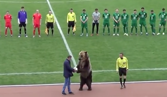 Fotografía del oso en un partido de fútbol de Rusia.