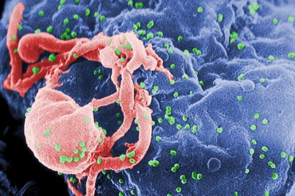 La toma diaria de antirretrovirales puede prevenir la infección del VIH