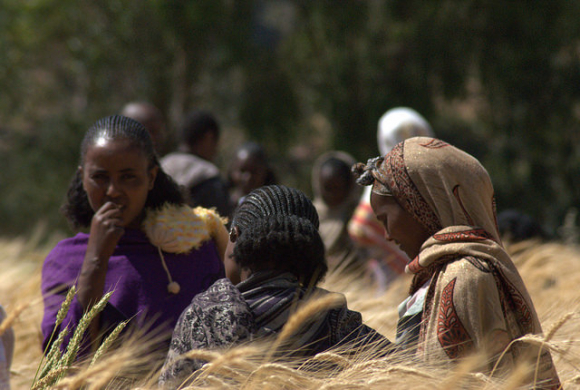 Agricultoras etíopes / Bioversity International-J.van de Gevel