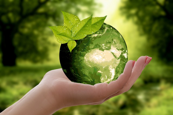 Presumir de sostenible no sirve de nada si no se aplican políticas reales. / Pixabay