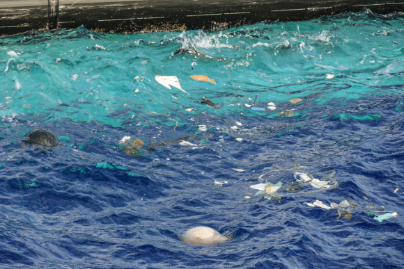 Fotografía de los plásticos retenidos por 'The Ocean Cleanup'.