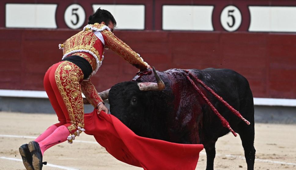 El diestro Gonzalo Caballero sufrió la cornada en el momento de entrar a matar. /EFE/ Fernando Villar
