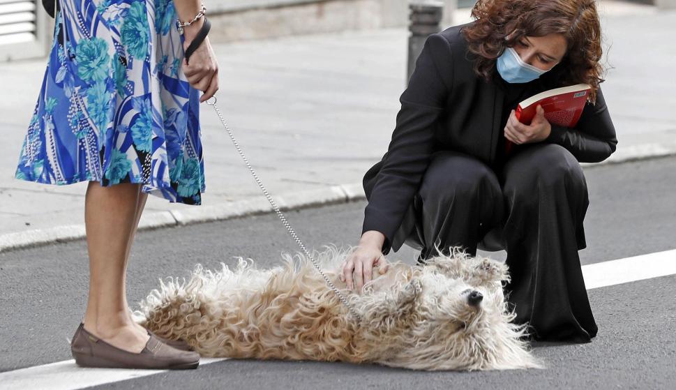 La presidenta de la Comunidad de Madrid, Isabel Diaz Ayuso, este sábado acaricia un perro en la calle Mayor de Madrid. /EFE/J.J. Guillen