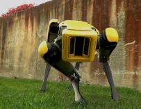 El perro de Boston Dynamics.