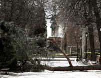 Precinto policial en el parque del Retiro de Madrid donde murió el niño de 4 años tras caerle un árbol encima. EFE/Mariscal