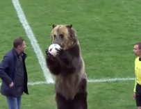 Fotografía del oso en un partido de fútbol de Rusia.