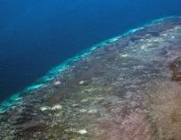 Vista aérea de la Barrera de Coral en Australia.EFE/Terry Hughes/Universidad James Cook