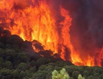 Labores de extinción de los incendios de Moguer y Nerva, en Huelva