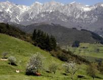 Vista del Parque Natural de Picos de Europa (EFE)