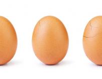 El famoso huevo se está rompiendo. / World_Record_Egg