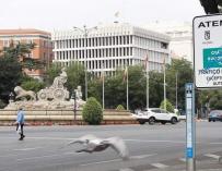 Vista de una señal vertical situada en la Plaza de Cibeles de Madrid. EFE/J.P.Gandul