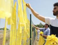 Foto de archivo de miembros de Ciudadanos retirando lazos amarillos
