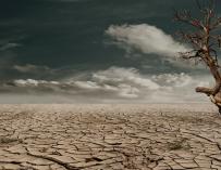El 50% de la población mundial vivirá en desiertos en 2050