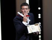 Un emocionado Antonio Banderas posa con el galardón de Mejor Actor en Cannes. /EFE/EPA/GUILLAUME HORCAJUELO
