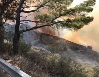 El incendio de la cumbre de Gran Canaria pasa a Nivel 2 y el Gobierno de Canarias asume la gestión
