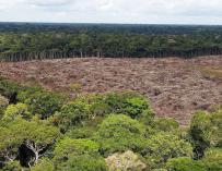 1,3 millones de hectáreas perdidas en el Brasil amazónico en 2018