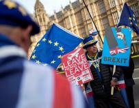 Manifestante anti brexit en el Parlamento Británico