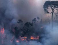 Bolsonaro acusa a las ONG de los fuegos en el Amazonas. /G1