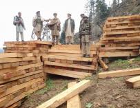 Talibanes en Afganistán con una remesa de madera