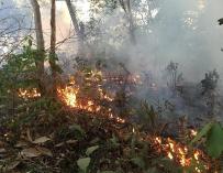 La Amazonía está en llamas