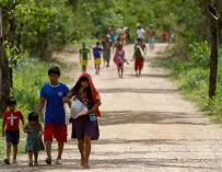 Indígenas de Brasil denuncian ante CIDH desprotección ante megaproyectos