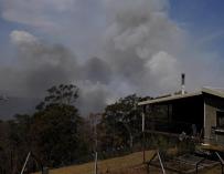Incendio Australia, fuego