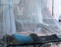 La epidemia de dengue se agrava en Honduras. /EFE