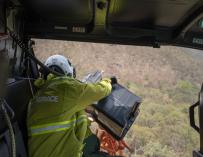Australia lanza desde helicópteros comida a animales afectados por incendios