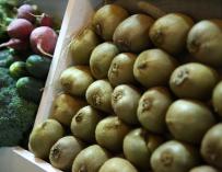 Gran Canaria promueve el cultivo del kiwi como agricultura alternativa en las medianías de la isla