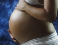 Embarazada, embarazo, reproducción asistida