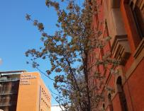Hospital Santa Cristina de Madrid