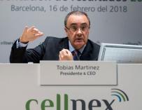 Tobías Martínez, Cellnex