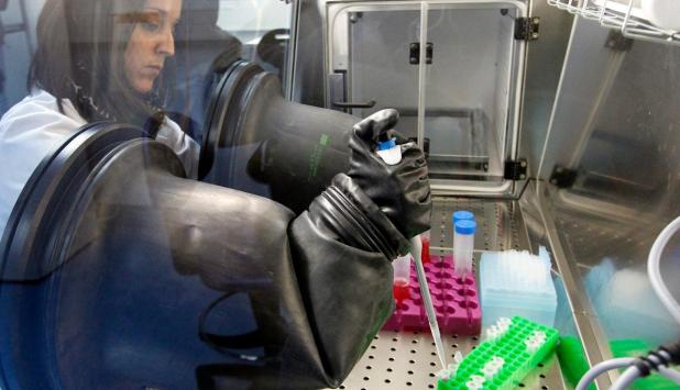 Científicos consiguen por primera vez células madre humanas por clonación