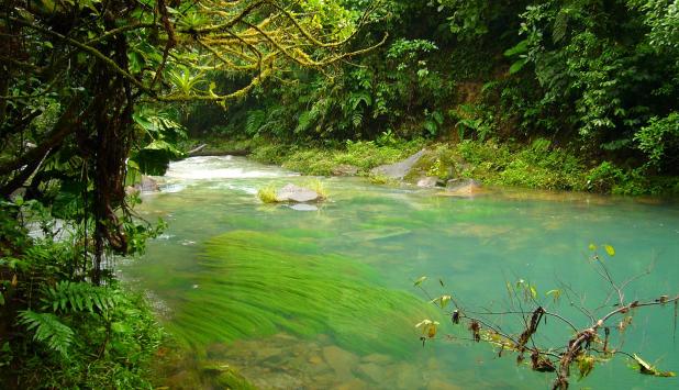 Río Celeste (Costa Rica)