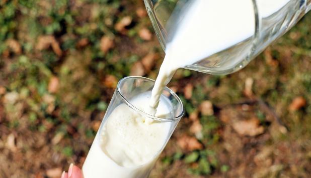 Un vaso de leche tiene tanto calcio absorbible como 6-7 raciones de verduras o legumbres